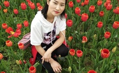 公交车上一个接一个c